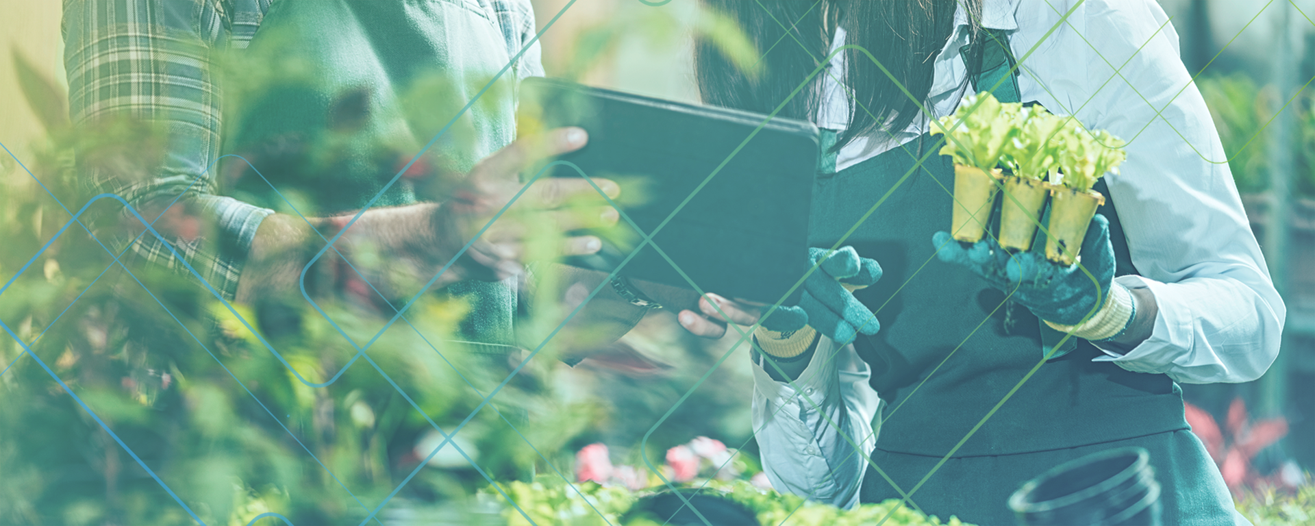 JFIソリューション株式会社